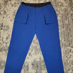 Forever 21 Large Casual Blue Pants || EUC